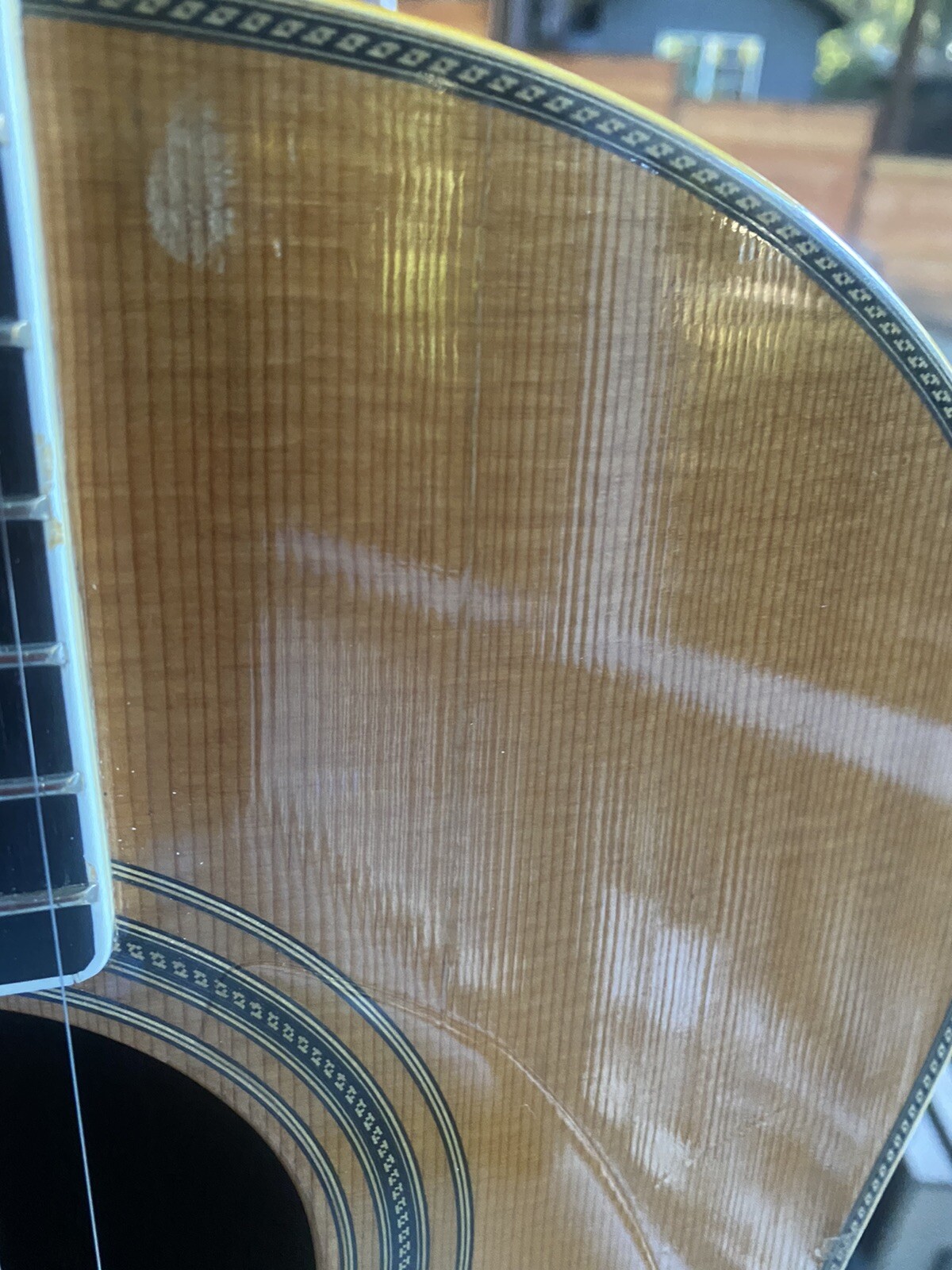 Alvarez DY92 Lute Back acoustic guitar 1981. Very Rare! eBay