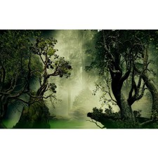 Forest Aquarium Background Jungle Plants Old Trees Reptile Habitat Background...