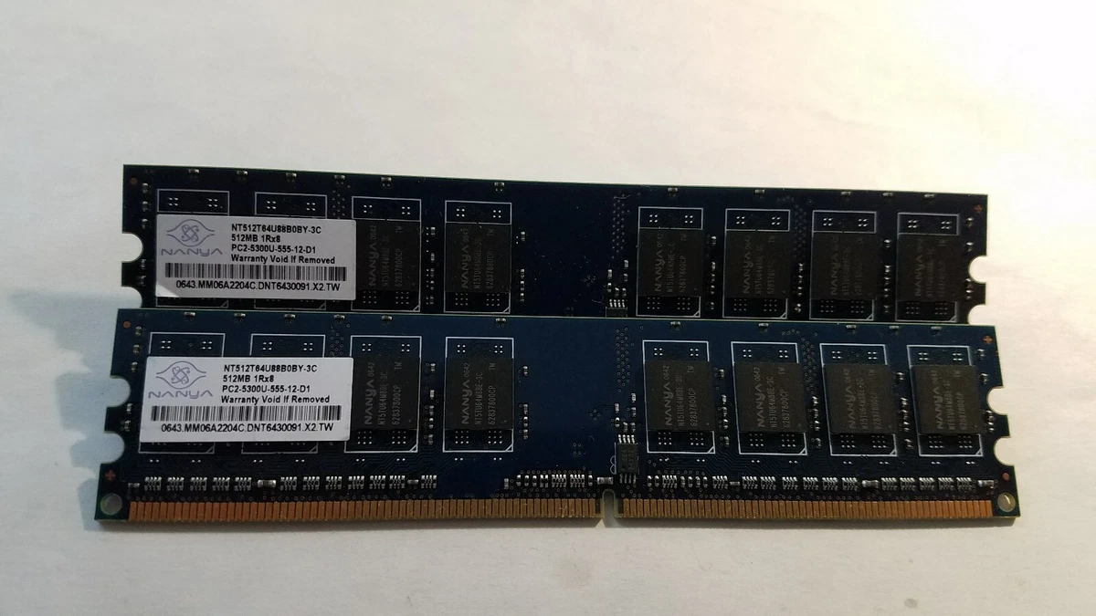 Nanya PC2-5300 DDR2-667 Computer Memory DIMM 512 MB Capacity per