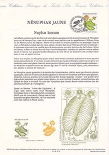 Document Philatélique 1er Jour : 26 1992 - Nénuphar Jaune