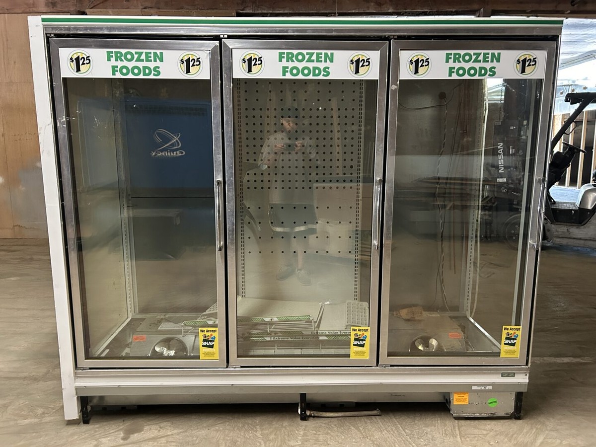 Zero Zone 3RVZC30 Reach-In Freezer CCR18441 | eBay