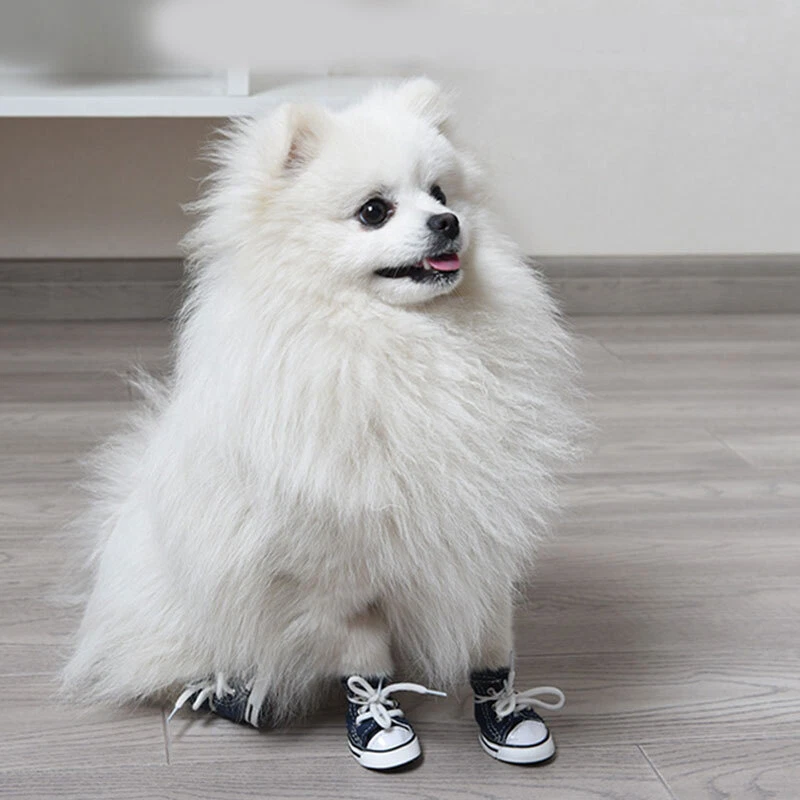 Hush puppies pomeranian high boot top