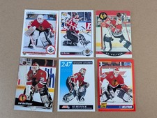 Patrick Roy & Ed Belfour Lot 9 Cards NHL Goalies 1990s Score Pro Set HOF