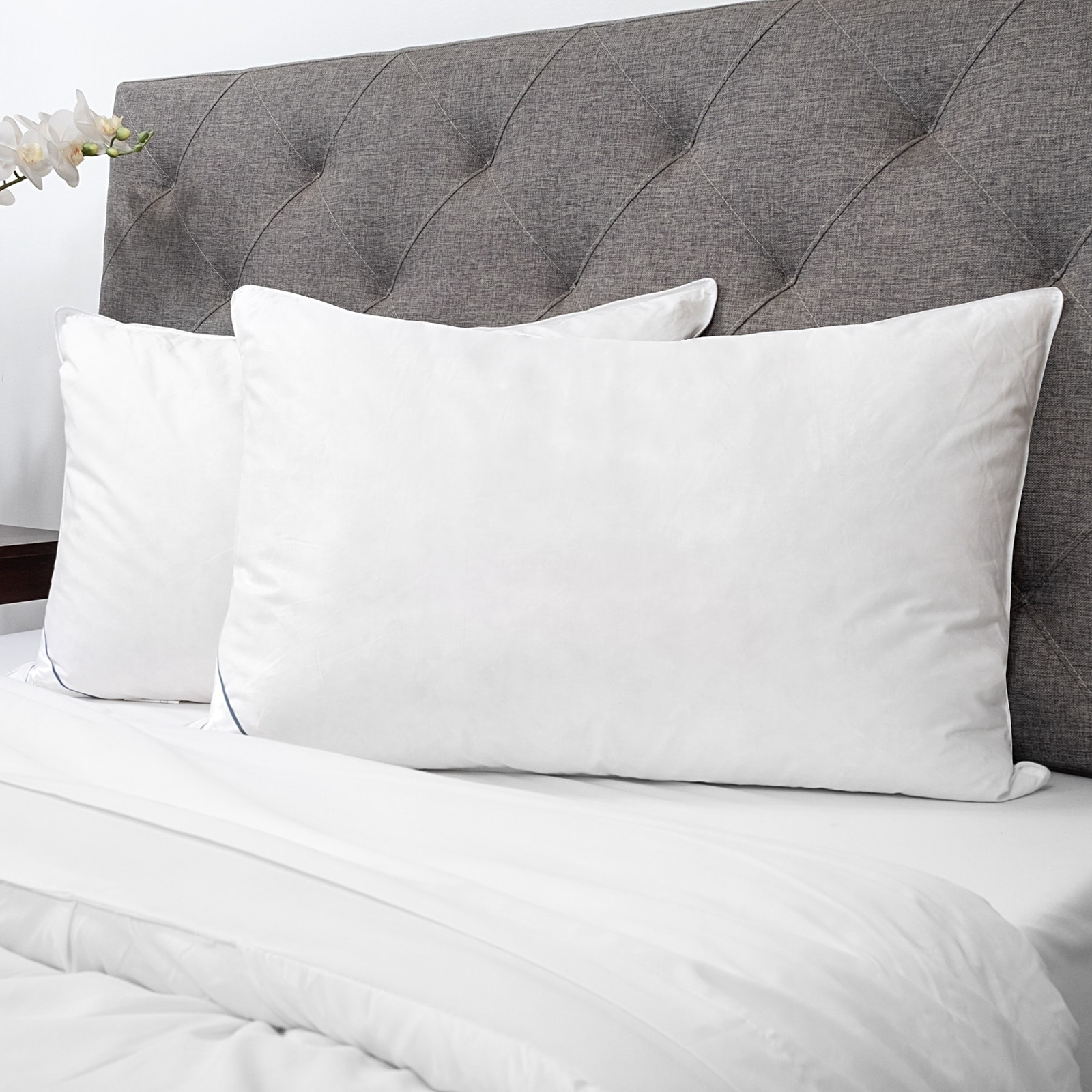 Luxury Natural Feather Bed Pillows for Sweet Home Collection