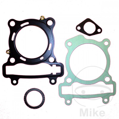 Testa cilindro Polini per motore Rotax 123