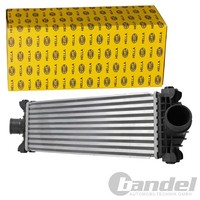 Hella LadeluftkÜHler TurbokÜHler Passend FüR Ford Tourneo Transit | 8ML 366