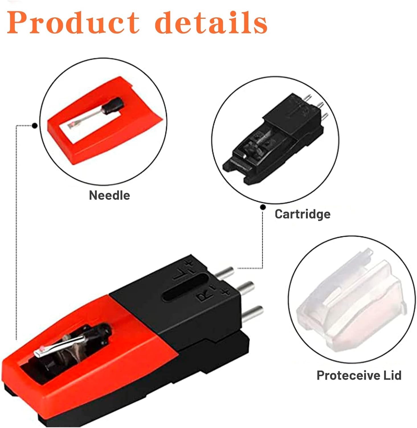 Slide 5
