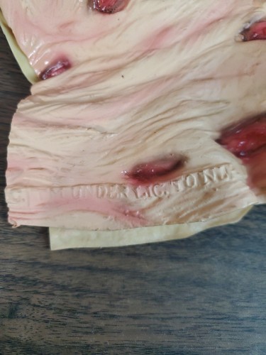 Vintage 2004 Full Freddy Krueger Mask Costume Accessory Nightmare On Elm Street - Picture 7 of 7