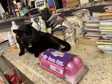 Hatchimals Alive Carton Rainbow Splash w/ 5 Eggs 10 Accessories          