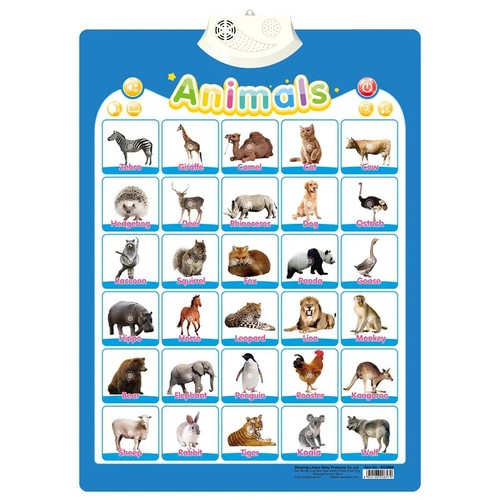 Interactive ABC Alphabet Wall Chart Talking Poster Educational Toy for Toddlers - Picture 13 of 21