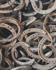 Authentic Horseshoe Real Rustic Horse Tack Western Decor Good Luck