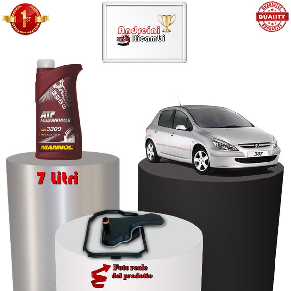 Set Filter Austausch Automatisch Und ÖL Peugeot 307 2.0 16V 100KW 136CV 2004->-image