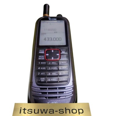 Modified ICOM IC-R30 CS-R30 Premium Set Digital Handy Receiver 0.1