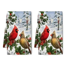 Winter Cardinal Birds Kitchen Dish Towels for Drying Dishes Set of 2 Christmas