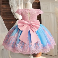 Vintage Girl Birthday Princess Dress Embroidery Floral Bow Gown Flower Girl