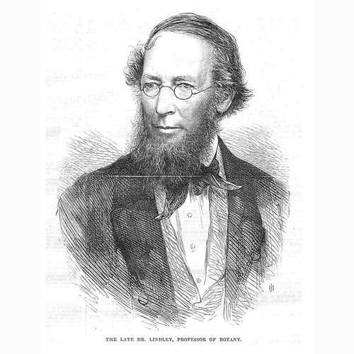 Dr John Lindley Professor of Botany - Antique Print 1865