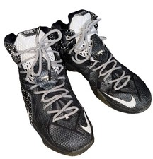 Nike LeBron 12 BHM - 718825-001 for Sale | Authenticity Guaranteed