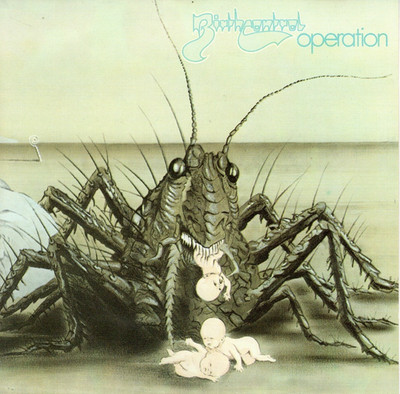 Birthcontrol OPERATION | excellent  (C8352)