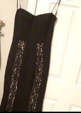 Windsor Strapless Lace Formal Dress, NWOT
