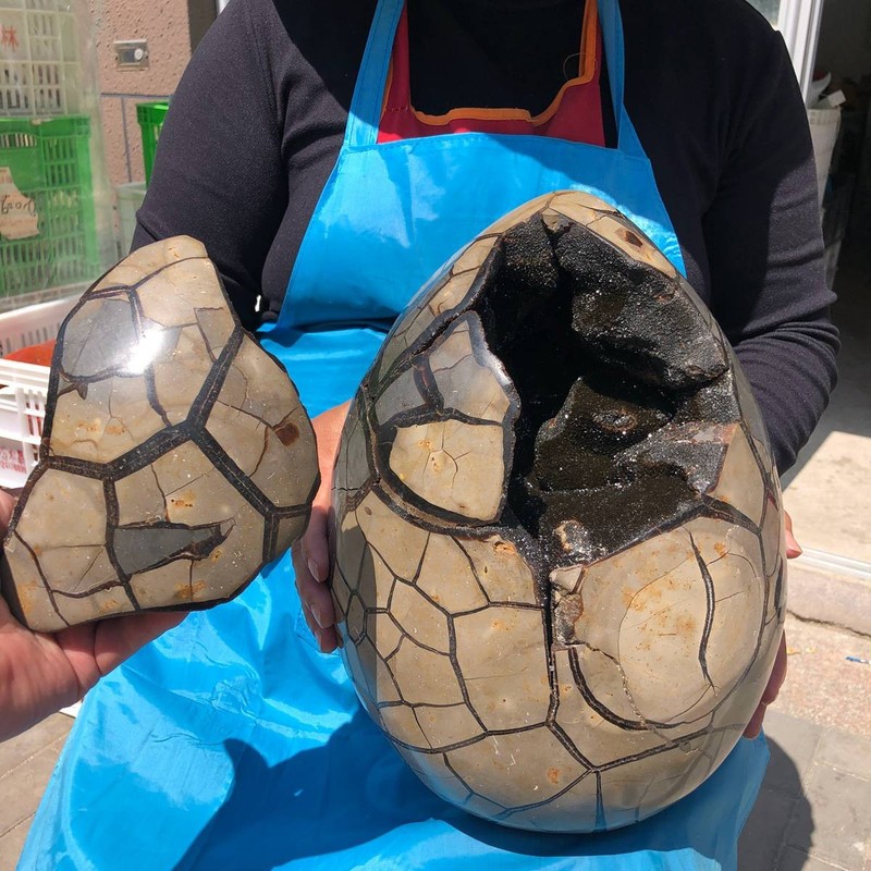 18kG  NATURAL Dragon Septarian Geode Quartz Cluster Crystal egg healing