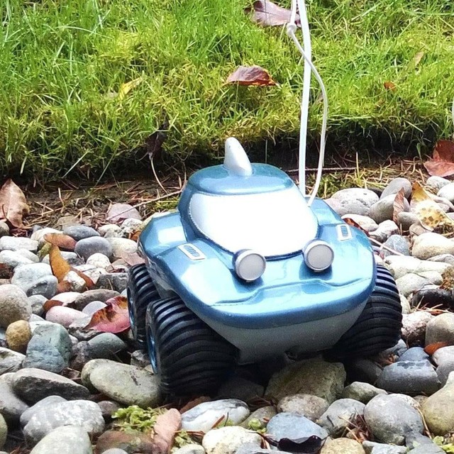 kid galaxy morphibians gator