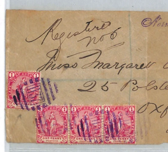 Sudáfrica COGH Reg NORVALS PONT Raro *1137* Números Violetas Cubierta Frontal XJ176 Foto 2 de 4