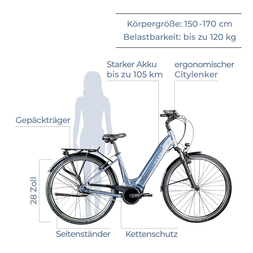 Zündapp Z909 E Bike Damenrad 28" Pedelec 150-170cm Hollandrad grau 46cm B Ware - Bild 2 von 4