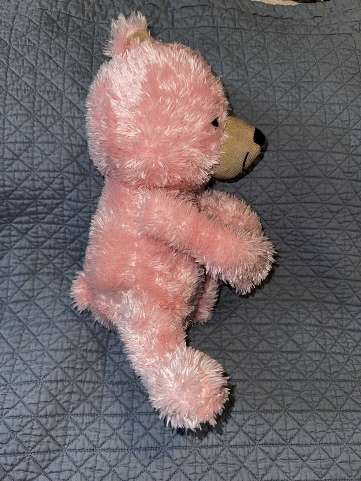 Oso de peluche de seguridad Circo Lovey rosa marrón negro pana peluda 13" 2012 Foto 2 de 4