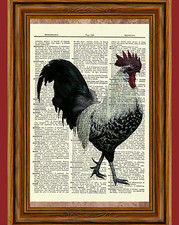 Rooster Dictionary Art Print Book Page Picture Poster Vintage Kitchen Wall Decor