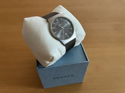 Skagen Herrenuhr Sundby Titanium Datumswerk 37mm Armbanduhr 233XLTTM in OVP