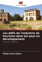 Les DéFis De L'industrie Du Tourisme Dans Les Pays En DéVeloppement Asfaw Buch