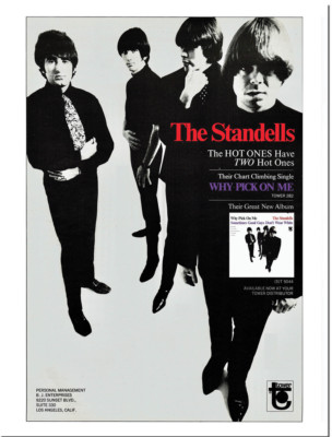 THE STANDELLS - Why Pick On Me - Promo Poster - A1 Poster - Psych