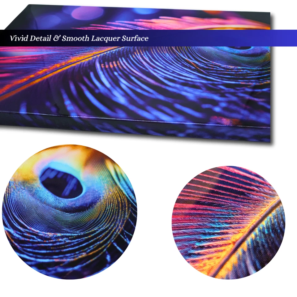 TAKORO Павлинье перо лак холст 20 «x 11,5» растянутый холст настенное искусство - Изображение 3 из 4