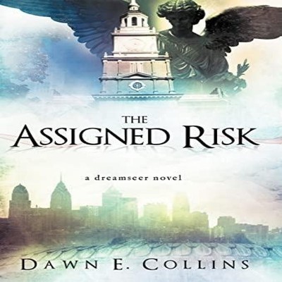 The Assigned Risk A Dreamseer Novel Dawn E. Collins Hardcover Aut