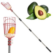 13ft Telescoping Fruit Picker Tool With Basket Extendable Pole For Fruit Picking