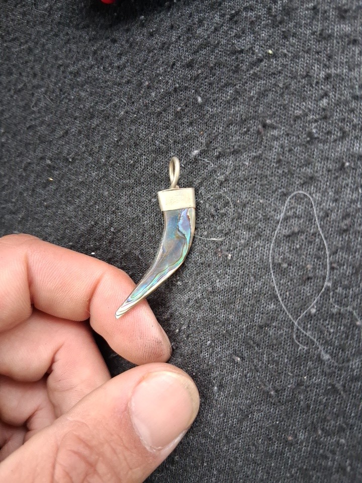 Abalone Horn-Shaped Multicolor Shell Pendant Amul… - image 12