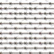 Rusty Barbed Wire 23 - 18"x46" Hydrographic Film Hydro Dipping