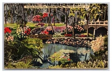 Dickson's Azalea Park Orlando Florida FL Linen Postcard XB5