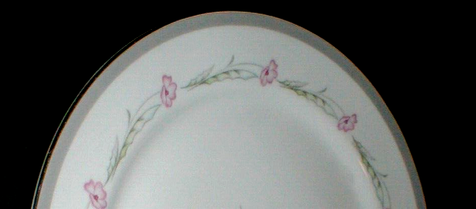 3 Sone Fine China Japan JA-1766 MEADOW FAIR 10-1/4