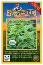 1000 Organic Spicy Globe Basil Organic Herb Seeds - Everwilde Farms Mylar Packet