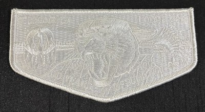 BOY SCOUT BSA OA TUKARICA 266 363 MOUNTAIN WEST IDAHO 100TH ANN GHOST FLAP RARE