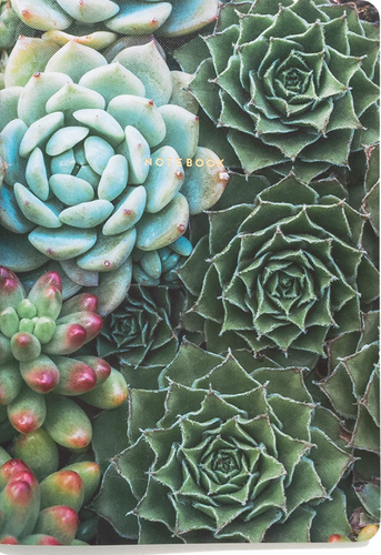 Juego de 3 Piezas Diario Suculento Jardín Cuaderno Colección Arte - Edyta Szyszlo NUEVO - Imagen 6 de 6