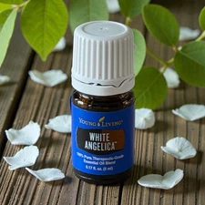 Young Living Essential Oils WHITE ANGELICA 5 ml Therapeutic Grade New Sealed