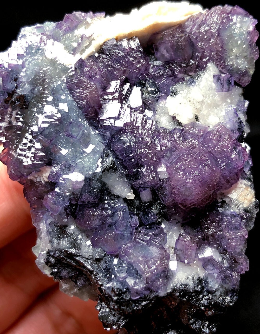 Picture 1 of 7