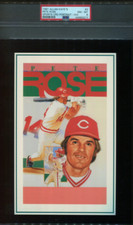 PSA 8 NM-MINT 1991 ALLAN KAYE'S PETE ROSE PORTRAIT #3 REDS JUMBO 8x10 HOLDER