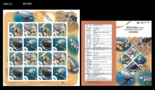 Wildlife,marine life,Turtle,Protected Marine Species,Korea 2021 Sheet +info card