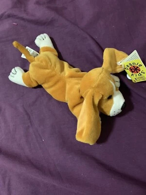 gumtree basset hound