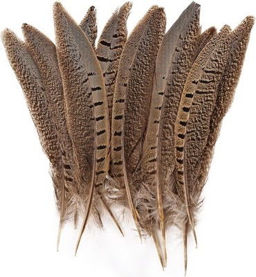 5pcs Pheasant Feather 6-8inch 15-20cm Natural Male Ringneck Tails Feathers fo...