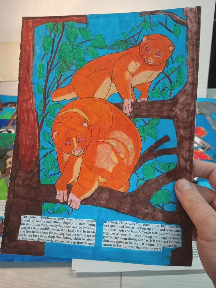 (1) Animal usado varios colores dos caras usado 18 páginas más imágenes  Foto 4 de 4