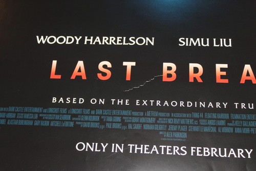 Póster original de la película Last Breath 2025 enrollado 27" x 40" - Imagen 2 de 4